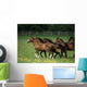 Thoroughbred Horses, Ireland Wall Mural