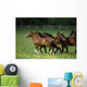 Thoroughbred Horses, Ireland Wall Mural