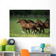 Thoroughbred Horses, Ireland Wall Mural