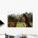 Thoroughbred Foals Playing, Ireland Wall Mural