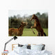 Thoroughbred Foals Playing, Ireland Wall Mural