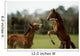 Thoroughbred Foals Playing, Ireland Wall Mural