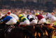 Horse Racing, Phoenix Park, Dublin, Ireland Wall Mural
