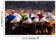 Horse Racing, Phoenix Park, Dublin, Ireland Wall Mural