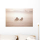 Thoroughbred Horses In Training, Curragh, Co Kildare, Ireland Wall Mural