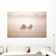 Thoroughbred Horses In Training, Curragh, Co Kildare, Ireland Wall Mural