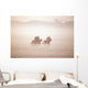 Thoroughbred Horses In Training, Curragh, Co Kildare, Ireland Wall Mural