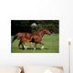 Thoroughbred Mare And Foal Galloping, Ireland Wall Mural