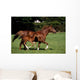 Thoroughbred Mare And Foal Galloping, Ireland Wall Mural