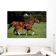 Thoroughbred Mare And Foal Galloping, Ireland Wall Mural