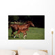 Thoroughbred Mare & Foal, Ireland Wall Mural