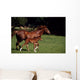 Thoroughbred Mare & Foal, Ireland Wall Mural