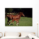 Thoroughbred Mare & Foal, Ireland Wall Mural