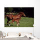 Thoroughbred Mare & Foal, Ireland Wall Mural