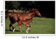 Thoroughbred Mare & Foal, Ireland Wall Mural