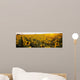 Sunflower Field Wall Mural