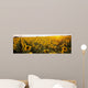 Sunflower Field Wall Mural