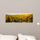 Sunflower Field Wall Mural