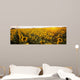 Sunflower Field Wall Mural