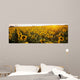 Sunflower Field Wall Mural