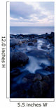 Stream, Near Bloody Bridge, Co Down, Ireland Wall Mural