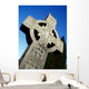 High Cross, Monasterboice, Co Louth, Ireland Wall Mural