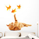 Goldfishes and cat Wall Decal