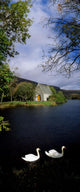 Chapel At Gougane Barra, Co Cork, Ireland Wall Mural