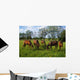 Thoroughbred Horses, Yearlings, Ireland Wall Mural