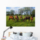 Thoroughbred Horses, Yearlings, Ireland Wall Mural
