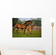 Thoroughbred Chestnut Mare & Foal, Ireland Wall Mural