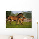 Thoroughbred Chestnut Mare & Foal, Ireland Wall Mural