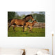Thoroughbred Chestnut Mare & Foal, Ireland Wall Mural