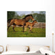 Thoroughbred Chestnut Mare & Foal, Ireland Wall Mural