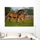 Thoroughbred Chestnut Mare & Foal, Ireland Wall Mural