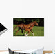 Thoroughbred Chestnut Mare & Foal, Ireland Wall Mural