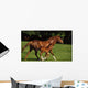 Thoroughbred Chestnut Mare & Foal, Ireland Wall Mural
