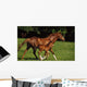 Thoroughbred Chestnut Mare & Foal, Ireland Wall Mural