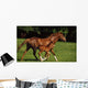 Thoroughbred Chestnut Mare & Foal, Ireland Wall Mural