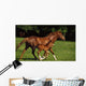 Thoroughbred Chestnut Mare & Foal, Ireland Wall Mural