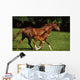 Thoroughbred Chestnut Mare & Foal, Ireland Wall Mural