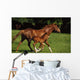 Thoroughbred Chestnut Mare & Foal, Ireland Wall Mural