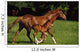 Thoroughbred Chestnut Mare & Foal, Ireland Wall Mural
