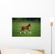 Thoroughbred Mare, National Stud, Kildare Town, Ireland Wall Mural