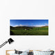 Friesian Cattle, Allihies, Co Cork, Ireland Wall Mural