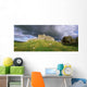 Rock Of Cashel, Cashel, Co Tipperary, Ireland Wall Mural