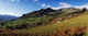 Carrantuohill, Black Valley, Co Kerry, Ireland Wall Mural