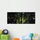 Killarney, Co Kerry, Ireland, Sunlight Through Trees Wall Mural