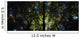Killarney, Co Kerry, Ireland, Sunlight Through Trees Wall Mural