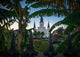 St Louis Cathedral through Wall Decal